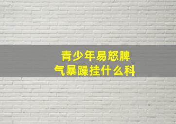 青少年易怒脾气暴躁挂什么科