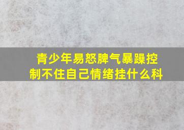 青少年易怒脾气暴躁控制不住自己情绪挂什么科