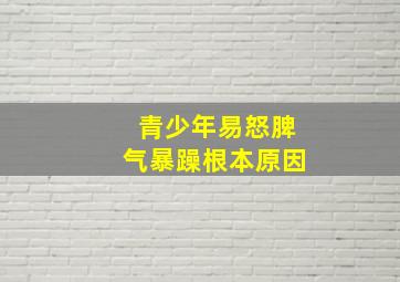 青少年易怒脾气暴躁根本原因