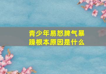 青少年易怒脾气暴躁根本原因是什么