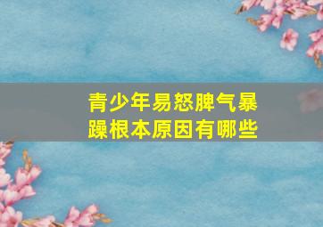 青少年易怒脾气暴躁根本原因有哪些