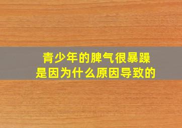 青少年的脾气很暴躁是因为什么原因导致的