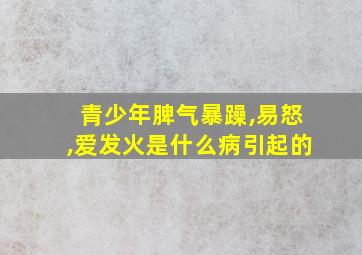 青少年脾气暴躁,易怒,爱发火是什么病引起的