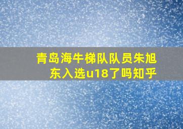 青岛海牛梯队队员朱旭东入选u18了吗知乎