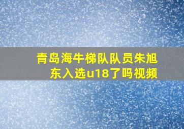 青岛海牛梯队队员朱旭东入选u18了吗视频