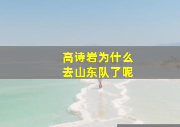 高诗岩为什么去山东队了呢