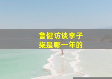 鲁健访谈李子柒是哪一年的