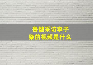 鲁健采访李子柒的视频是什么