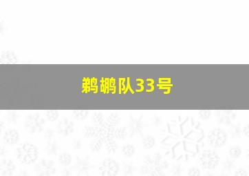 鹈鹕队33号