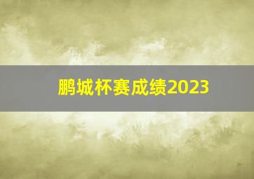 鹏城杯赛成绩2023