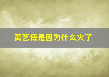 黄艺博是因为什么火了